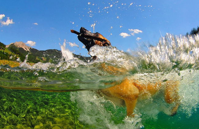 Holiday Village Prabichl, Vordernberg - Foto 32