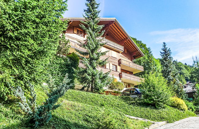 La Tour d'Antheme - Photo 38