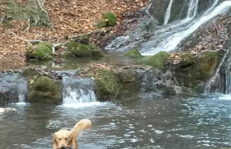 Home&Classic Erlebnisscheune - Photo 53