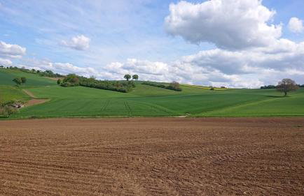 Schöne EinliegerWhg (74m²) in Villa mit Traumlage - Foto 43