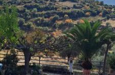 Πέτρινο Αλώνι - Foto 35