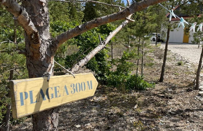 Villa Vitvikena in Gotland, Pool - Foto 22