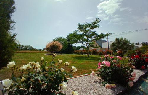 La Ferme d' Emerentine - Foto 45