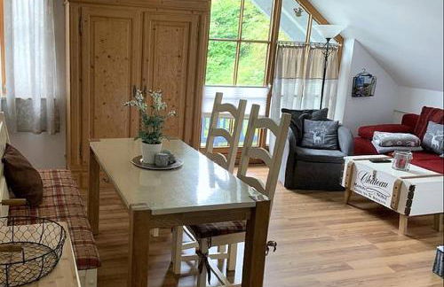 Ferienland Sonnenwald Fewo 46 und Studio 50 in Schöfweg Bayerischer Wald - Foto 1