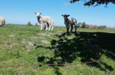 Mien Leevsten - Photo 2