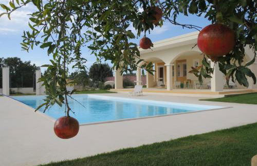 Villa Bulcrini - Photo 50