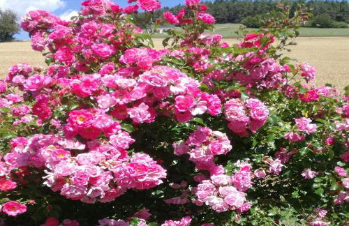 Ferienwohnung Leute - Foto 18
