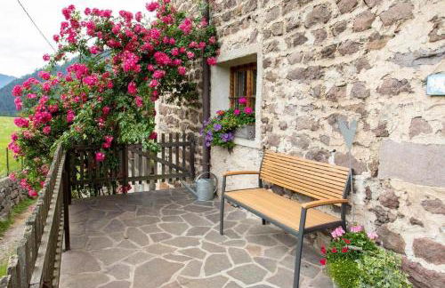 Moserhof Ferienwohnung Sunnseit - Foto 21