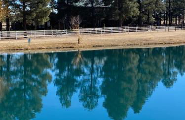 LilyBear Cabin - Foto 6