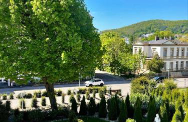 Stilvolle Wohnung im Kurgebiet Bad Kissingen - Photo 13