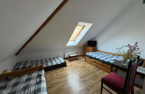 Agroturystyka Traperska Osada - Foto 21