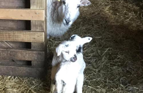 Oban Seil Farm - Photo 20