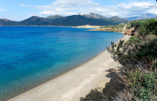 Primavera - Photo 23