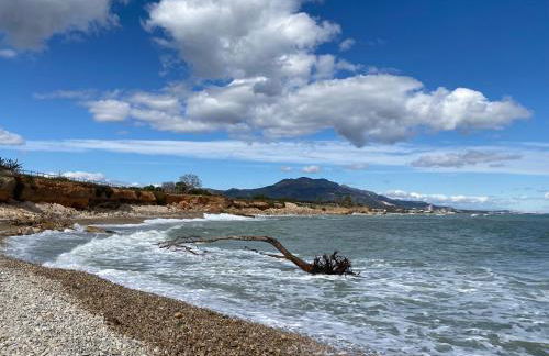 Casa Queralt - Foto 11