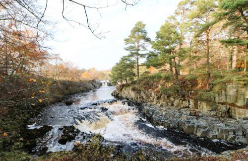 West Reins - Photo 22