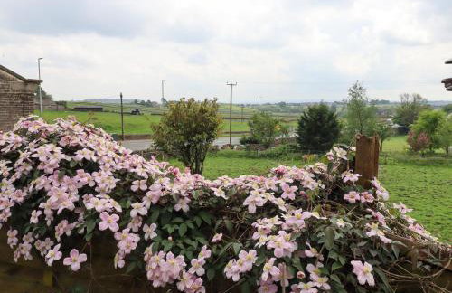 Rock Hollow - Foto 27