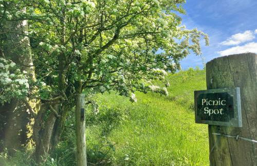 Coedmor Cottages - Foto 20