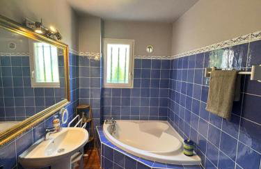 La maison aux oliviers - Foto 29