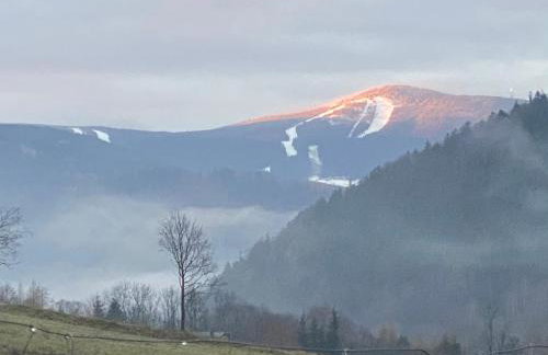 Domki Pod Lasem - Domek Brzozowy - Foto 56