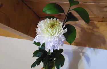 Sustainable Rural House La Lisa Dorada - Foto 23