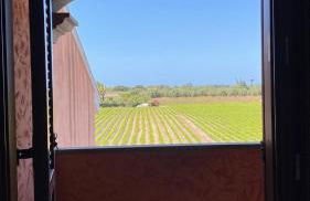 Faldor's home - Foto 26