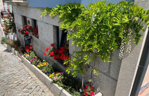 dourobluehouse - Foto 9