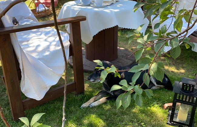 Willa Słoneczko - Foto 70