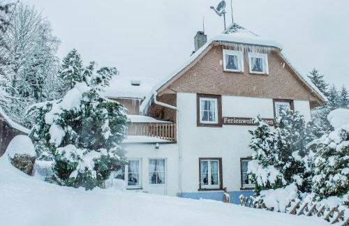 Schwarzwald Apartments im Haus Tanneck - Feldberg - Titisee - Foto 46