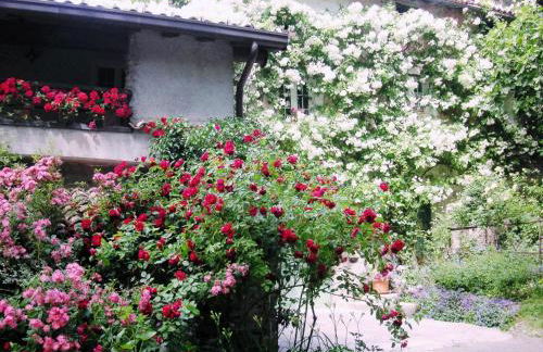 La Traversina - Agriturismo di Charme - Foto 101