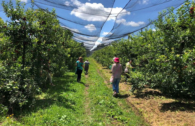 São Joaquim Apple Tour - Photo 5