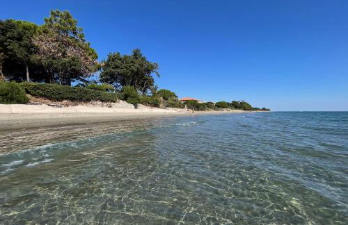 Bord De Mer, Commerces Rivière 15mn - Foto 1