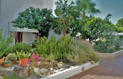 Apartamentos Sureda - Photo 54