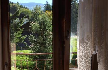 Agropensjonat Tramp z góralskim spa - Foto 25