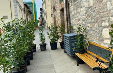 La Gatta sul Tetto - Foto 17