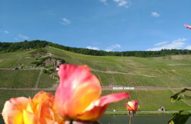 Ferienwohnungen und Gästezimmer Peter Busch - Foto 17