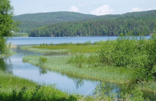 5 Person Holiday Home in Arvika-by Traum - Foto 20