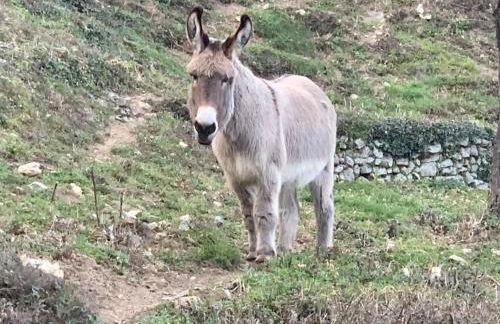 Villa La source & SPA - Photo 71