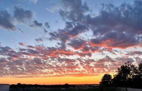 Puesta de Sol Doñana Adults Only - Foto 22