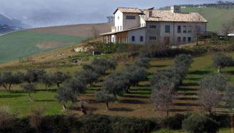Agriturismo Cignale della Società Agricola Cignale srl - Foto 5