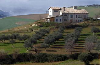 Agriturismo Cignale della Società Agricola Cignale srl - Photo 5
