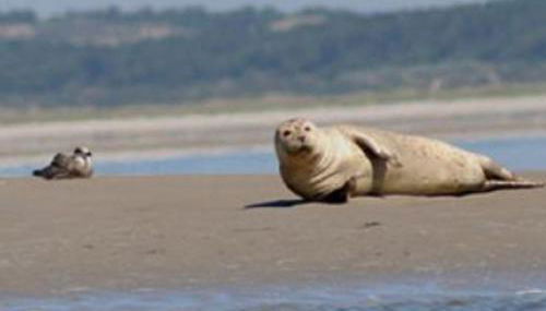Chez Marie à 5kms de St Valery sur Somme - Foto 2