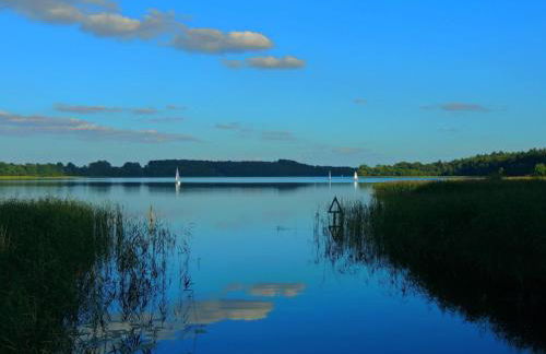 Haus Holli Zarrentin am Schaalsee - Foto 35