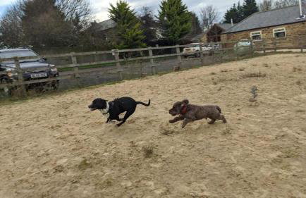 Stunning Barn Conversion next to Horse Field sleeps 10 - Foto 12