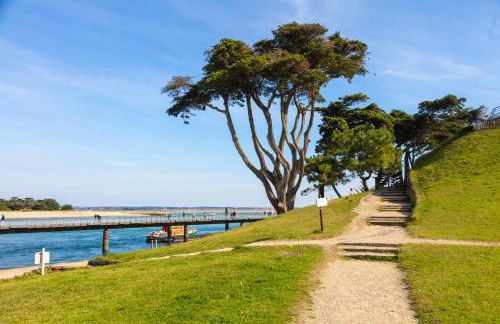 Appartement face mer et Piscine - Foto 17