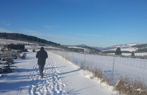 Ferienwohnung Hilleseeblick - Foto 23