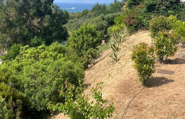 Cala di mare - Foto 47