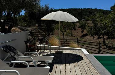 Monte do Pereiro - Foto 2