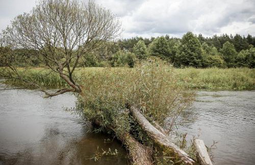 Agroturystyka Gajówka Pilica - Foto 69