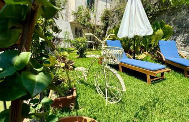 Gogas Amalfi Coast - Foto 33