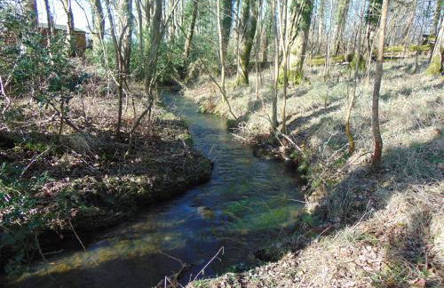 Dreamwood Cottage, Loch Lomond, Luxury Apartment. - Foto 5